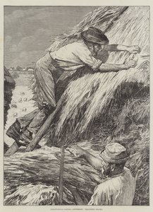 Scènes agricoles, septembre, couverture des meules - Gunning King